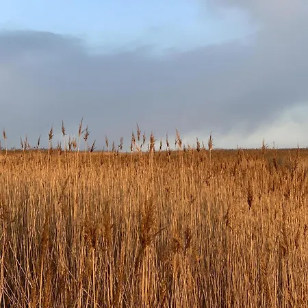 Διαμέρισμα Reimer - Strandstrasse *