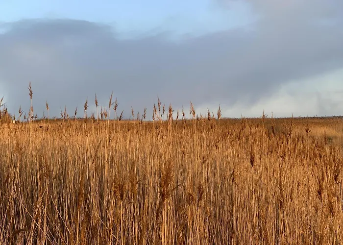 Lägenhet Reimer - Strandstrasse *
