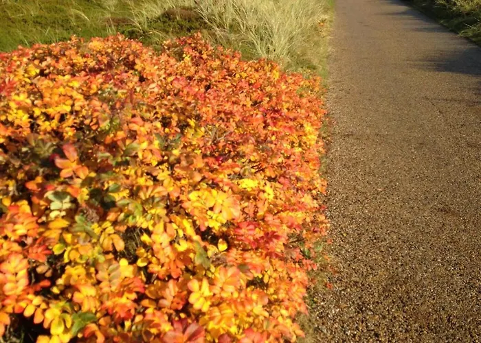 Reimer - Strandstrasse * Westerland